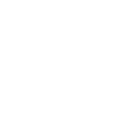 Transfervi